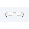 Costa Bimini Road 210 Brushed Palladium Frame Eyeglasses Sunglasses