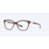 Costa Pacific Rise 310 Shiny Taupe Crystal Frame Eyeglasses Sunglasses