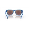 Oakley Frogskins Origins Collection Sapphire Frame Prizm Sapphire Lense Sunglasses