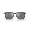 Oakley Holbrook XL Steel Frame Prizm Black Polarized Lense Sunglasses