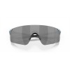 Oakley EVZero Blades Collection Sanctuary Swirl Frame Prizm Black Lense Sunglasses