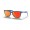 Oakley Frogskins 35th Anniversary Primary Blue Frame Prizm Ruby Lens Sunglasses