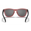 Oakley Frogskins Origins Collection Matte Redline Frame Prizm Black Lens Sunglasses