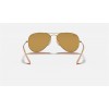 Ray Ban Aviator Washed Evolve RB325 Brown Photochromic Evolve Gold Sunglasses