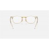 Ray Ban Clubmaster Optics RB5154 Demo Lens + Transparent Gold Frame Clear Lens Sunglasses