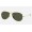 Ray Ban Cockpit RB3362 Green Classic G-15 Gold Sunglasses