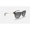 Ray Ban Erik Collection Online Exclusives RB3016 Grey Black Sunglasses
