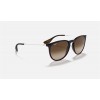 Ray Ban Erika Classic Low Bridge Fit RB4171 + Brown Frame Brown Lens Sunglasses