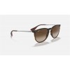 Ray Ban Erika Classic Low Bridge Fit RB4171 + Tortoise Frame Brown Lens Sunglasses