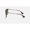 Ray Ban Erika Classic Low Bridge Fit RB4171 + Tortoise Frame Brown Lens Sunglasses