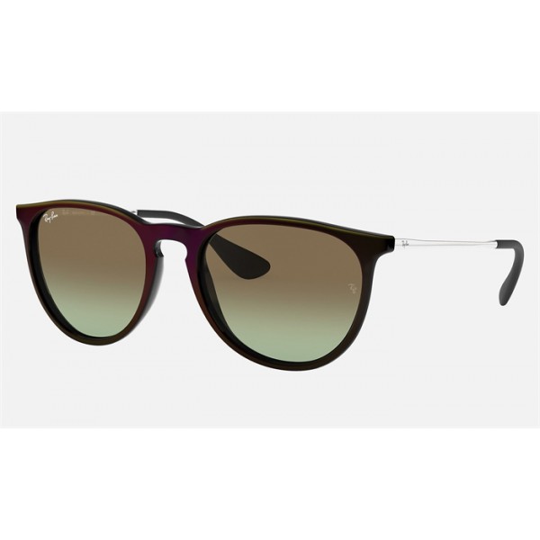 Ray Ban Erika Classic RB4171 + Black Frame Brown Lens Sunglasses