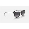 Ray Ban Erika Classic RB4171 + Black Frame Grey Lens Sunglasses