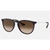 Ray Ban Erika Classic RB4171 + Blue Frame Brown Lens Sunglasses