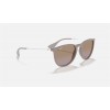 Ray Ban Erika Classic RB4171 + Brown Frame Brown/Violet Lens Sunglasses