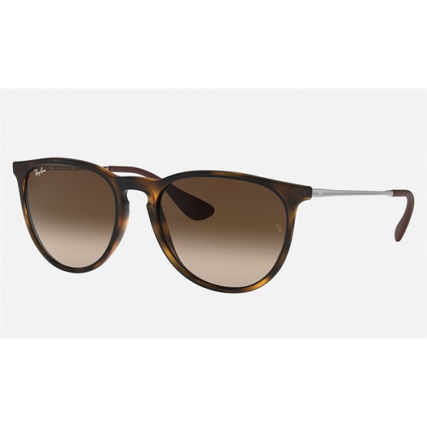Ray Ban Erika Classic RB4171 + Tortoise Frame Brown Lens Sunglasses
