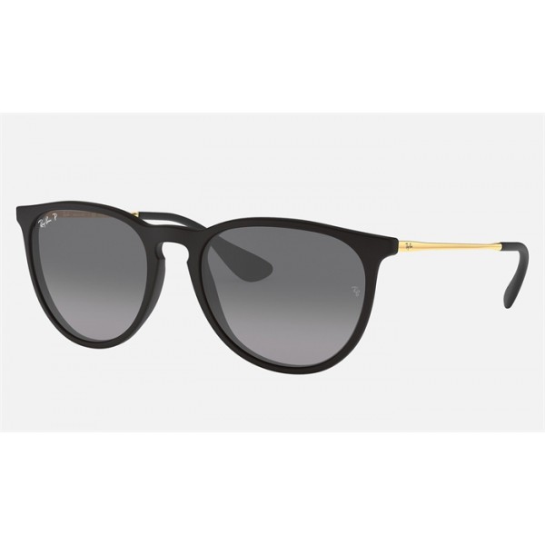 Ray Ban Erika @Collection RB4171 Polarized + Black Frame Black Lens Sunglasses