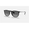 Ray Ban Erika Color Mix Low Bridge Fit RB4171 Polarized + Black Frame Grey Lens Sunglasses