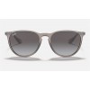 Ray Ban Erika Color Mix Low Bridge Fit RB4171 + Shiny Transparent Grey Frame Grey Lens Sunglasses