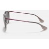 Ray Ban Erika Color Mix Low Bridge Fit RB4171 + Shiny Transparent Grey Frame Grey Lens Sunglasses