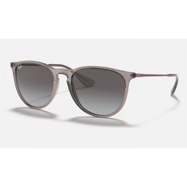 Ray Ban Erika Color Mix RB4171 + Shiny Transparent Grey Frame Grey Lens Sunglasses