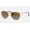 Ray Ban Erika Metal RB3539 Polarized + Gold Frame Brown Lens Sunglasses