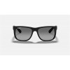 Ray Ban Justin Classic Low Bridge Fit RB4165 Polarized + Black Frame Grey Lens Sunglasses