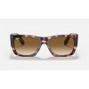 Ray Ban Nomad Fleck RB2187 Pink Havana Frame Light Brown Gradient Lens Sunglasses