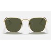Ray Ban Round Frank RB3857 Polarized Classic G-15 + Shiny Gold Frame Green Classic G-15 Lens Sunglasses