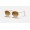 Ray Ban Round Metal RB3647 Gradient + Gold Frame Light Brown Gradient Lens Sunglasses