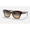 Ray Ban State Street RB2186 + Pink Tortiose Frame Brown/Blue Lens Sunglasses