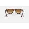 Ray Ban Wayfarer Ease RB4340 Light Brown Gradient Tortoise Sunglasses