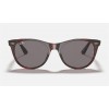 Ray Ban Wayfarer II Collection RB2185 Grey Classic Transparent Red Sunglasses