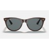 Ray Ban Wayfarer II Collection RB2185 Light Blue Classic Brown Sunglasses